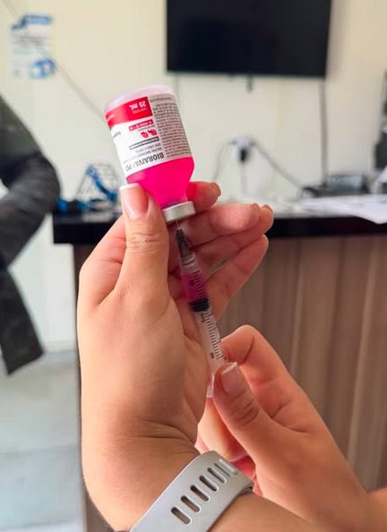 São João do Cariri Realiza Dia D de Vacinação Antirrábica para Cães e Gatos